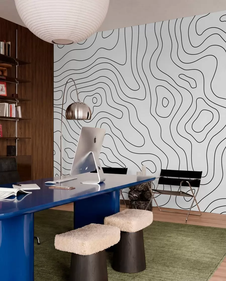 wall murals топографска карта u70650