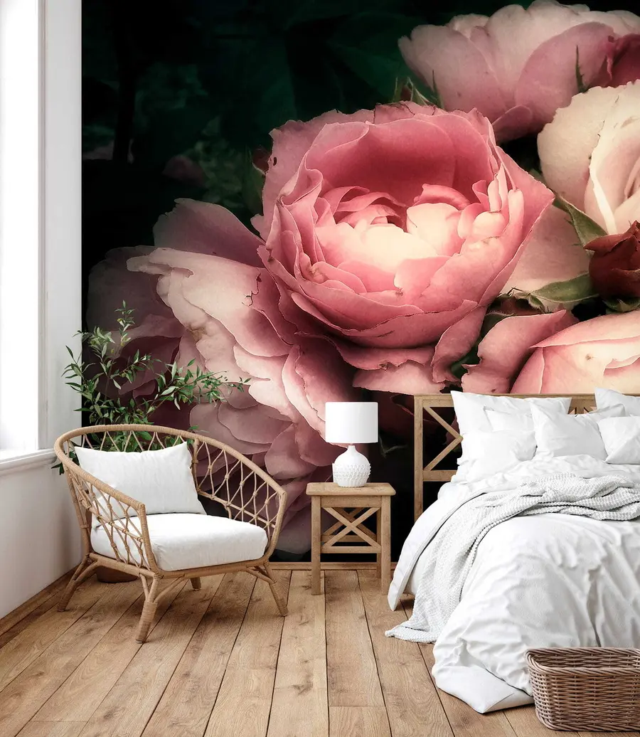 wall murals Деликатна ружичаста пеониес u08062