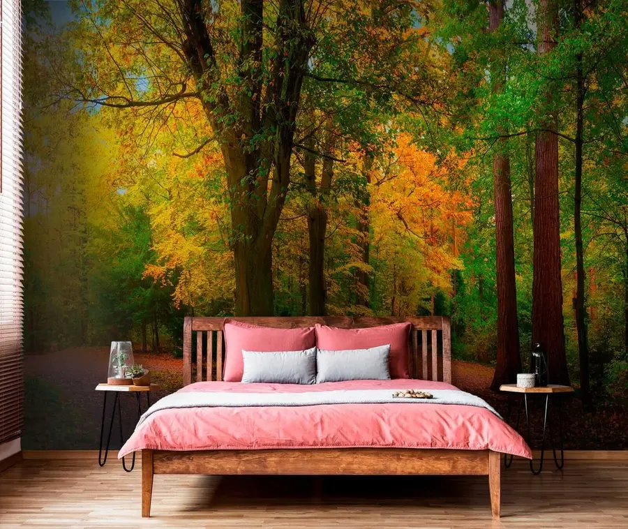wall murals Почетак јесени u08547