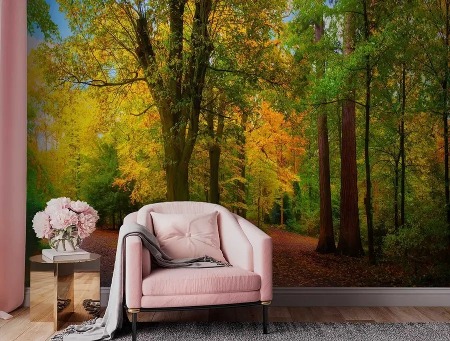wall murals Почетак јесени u08547