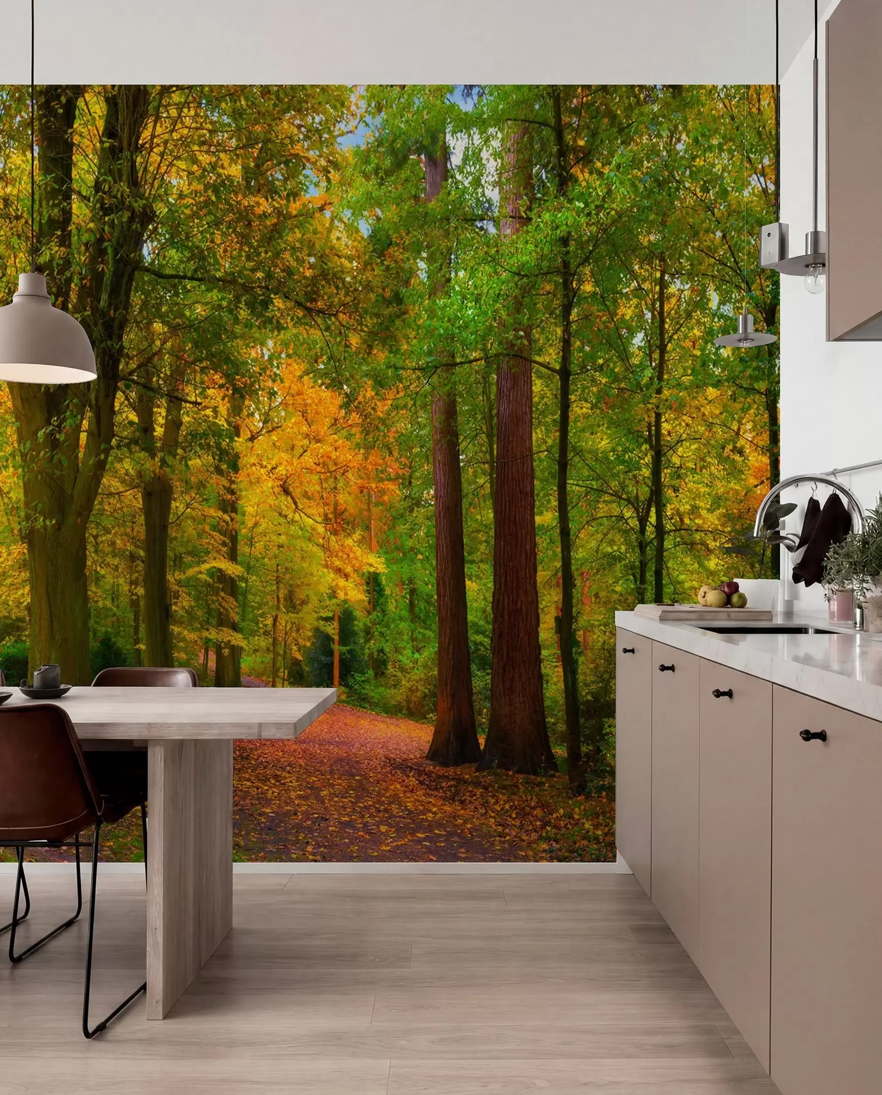 wall murals Почетак јесени u08547