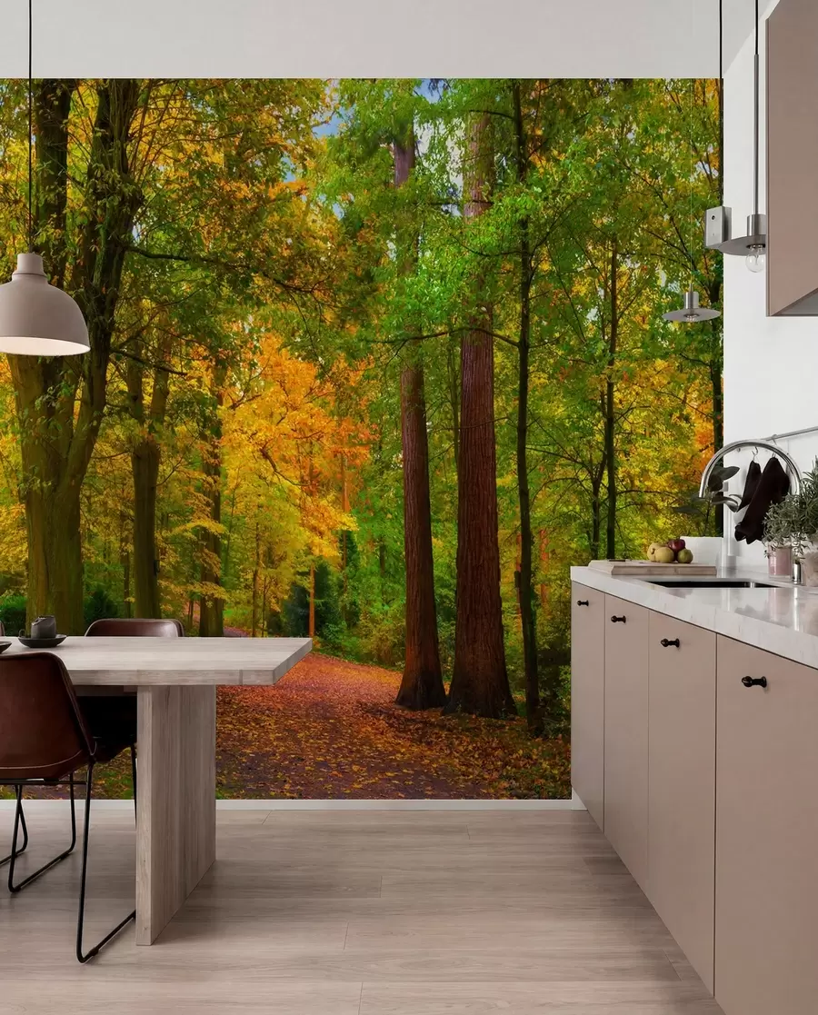 wall murals Почетак јесени u08547