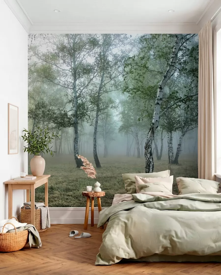 wall murals Фог Бирцх Форест u25820