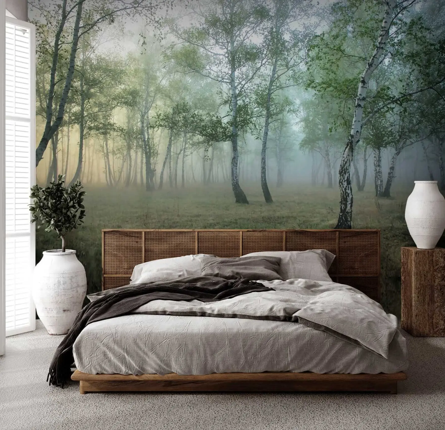 wall murals Фог Бирцх Форест u25820