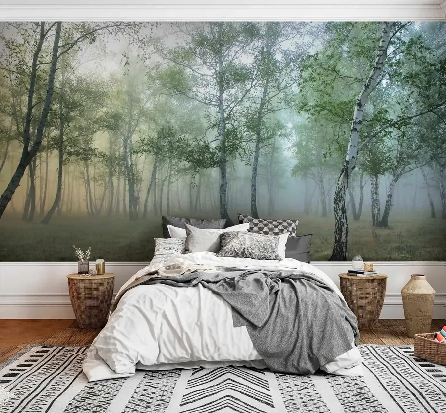 wall murals Фог Бирцх Форест u25820