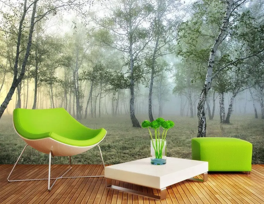 wall murals Фог Бирцх Форест u25820