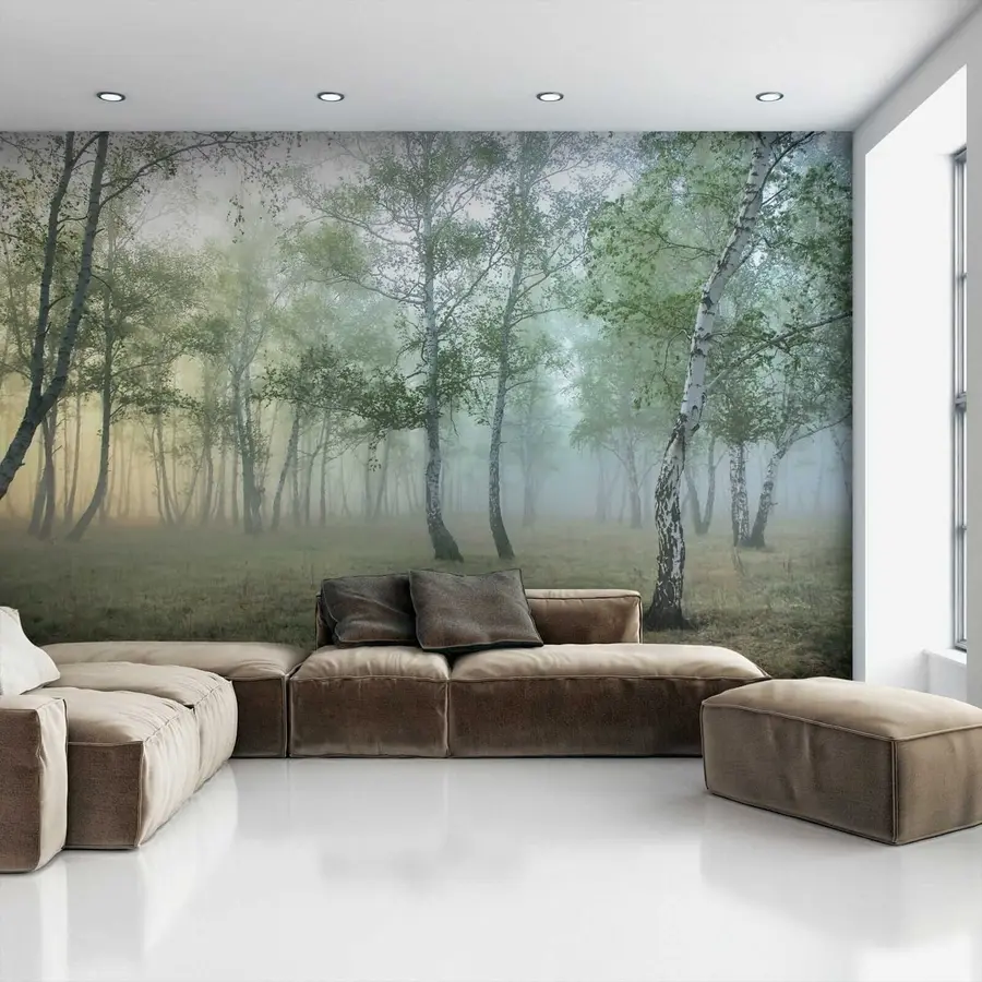 wall murals Фог Бирцх Форест u25820