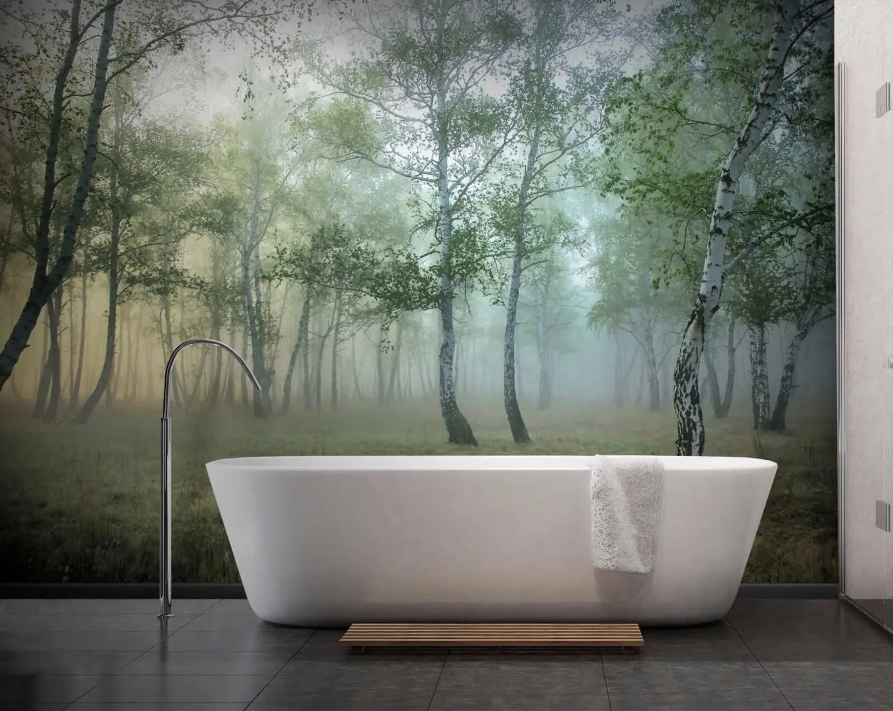 wall murals Фог Бирцх Форест u25820