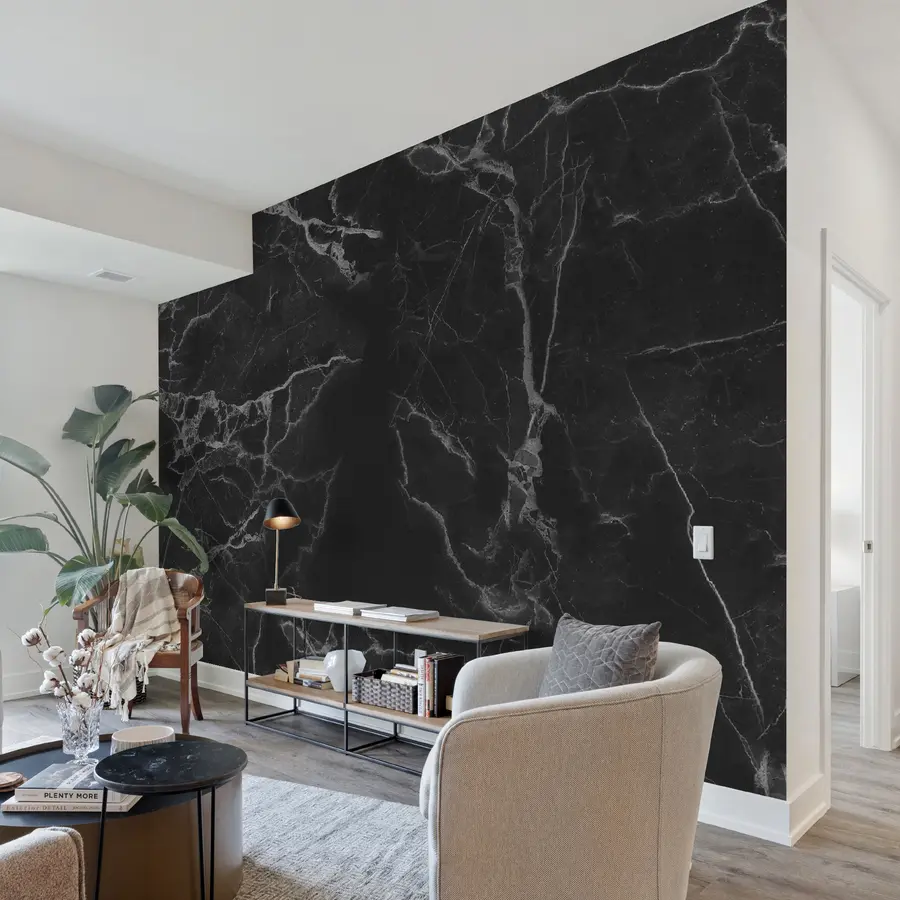 wall murals БЛАЦК МАРМЛЕ ДЕБТХ u32084