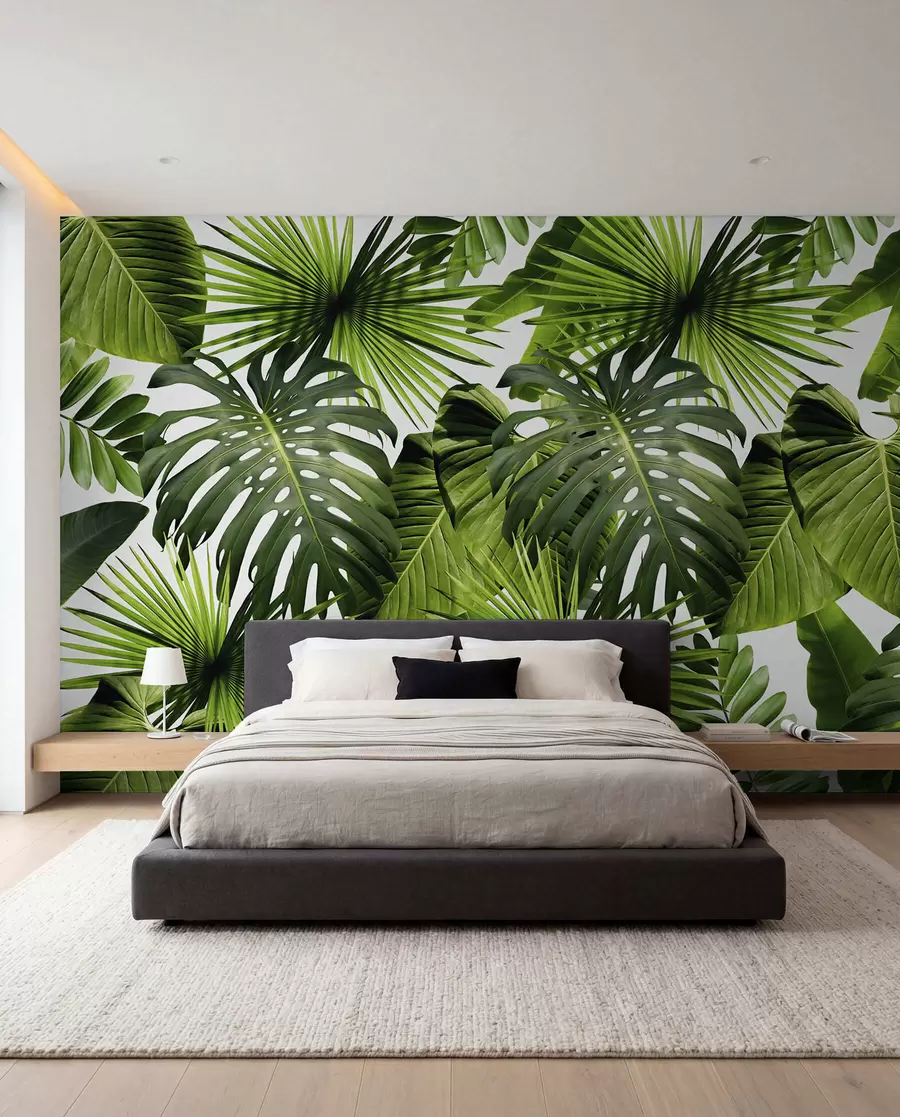 wall murals Tropsko zelenilo na svjetlu u37767