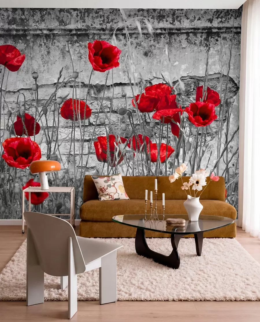 wall murals Цвет, разнобојност и биљка u40552
