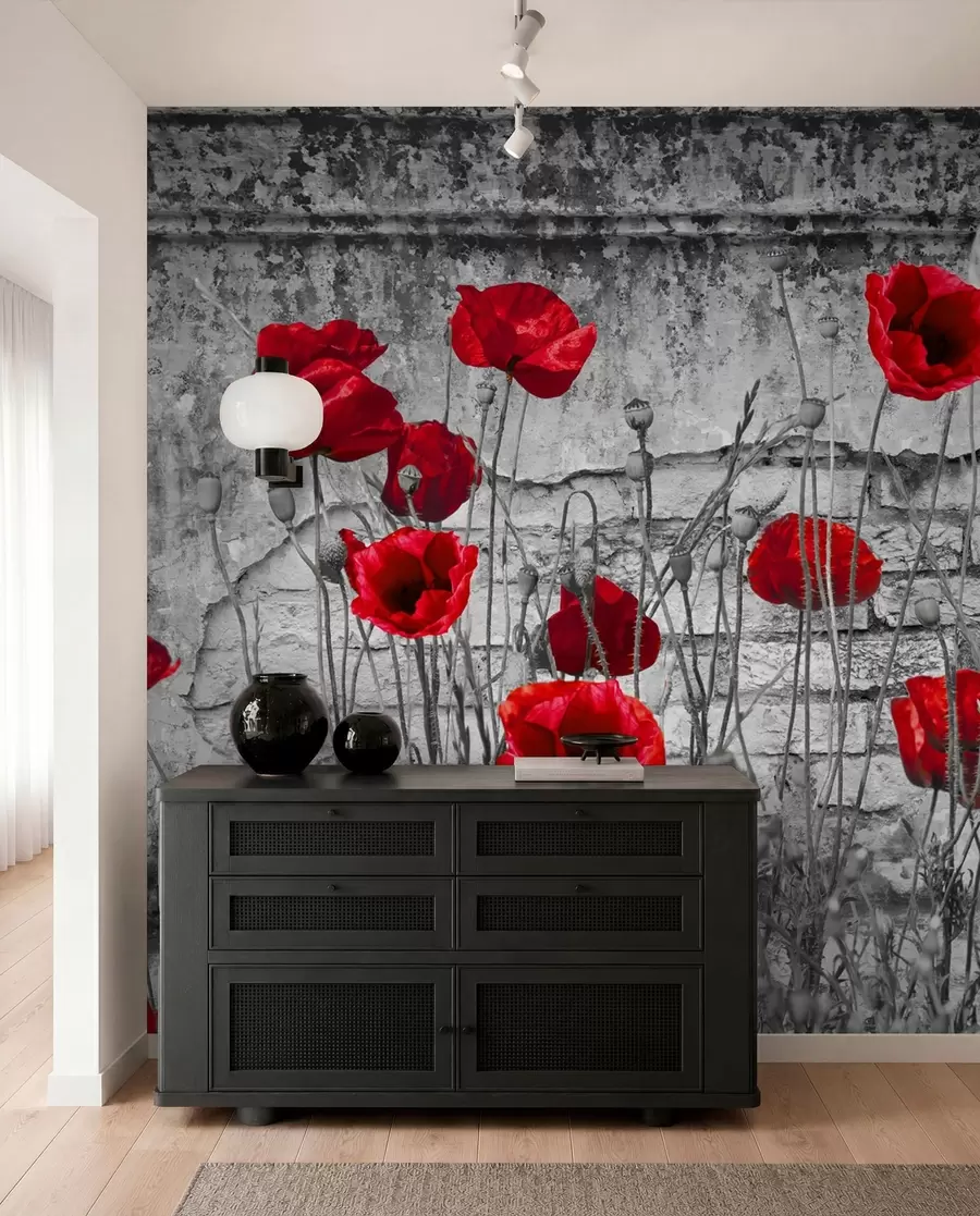 wall murals Цвет, разнобојност и биљка u40552