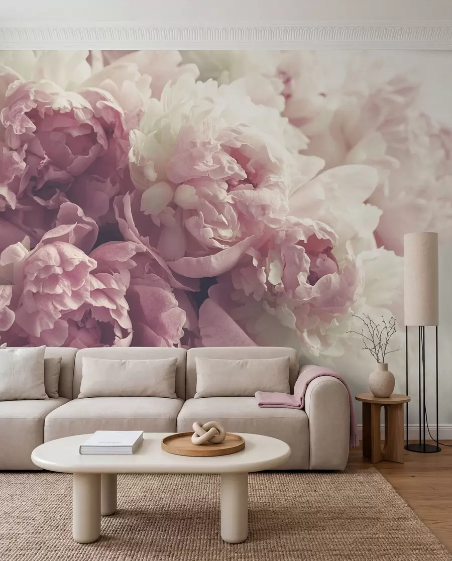 wall murals Božuri u lila boji u44746
