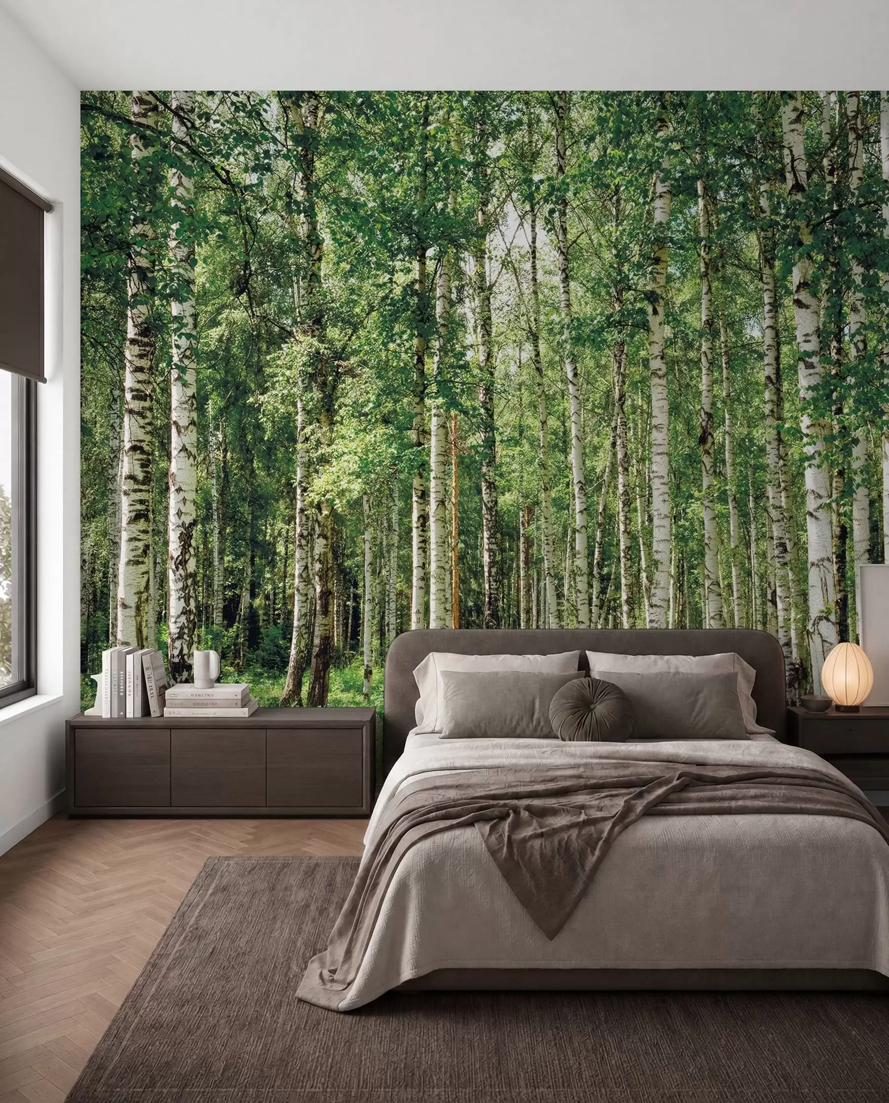 wall murals U ljetnjoj brezovoj šumi u52530