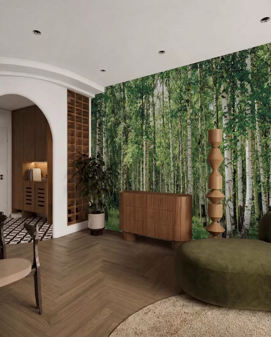 wall murals U ljetnjoj brezovoj šumi u52530