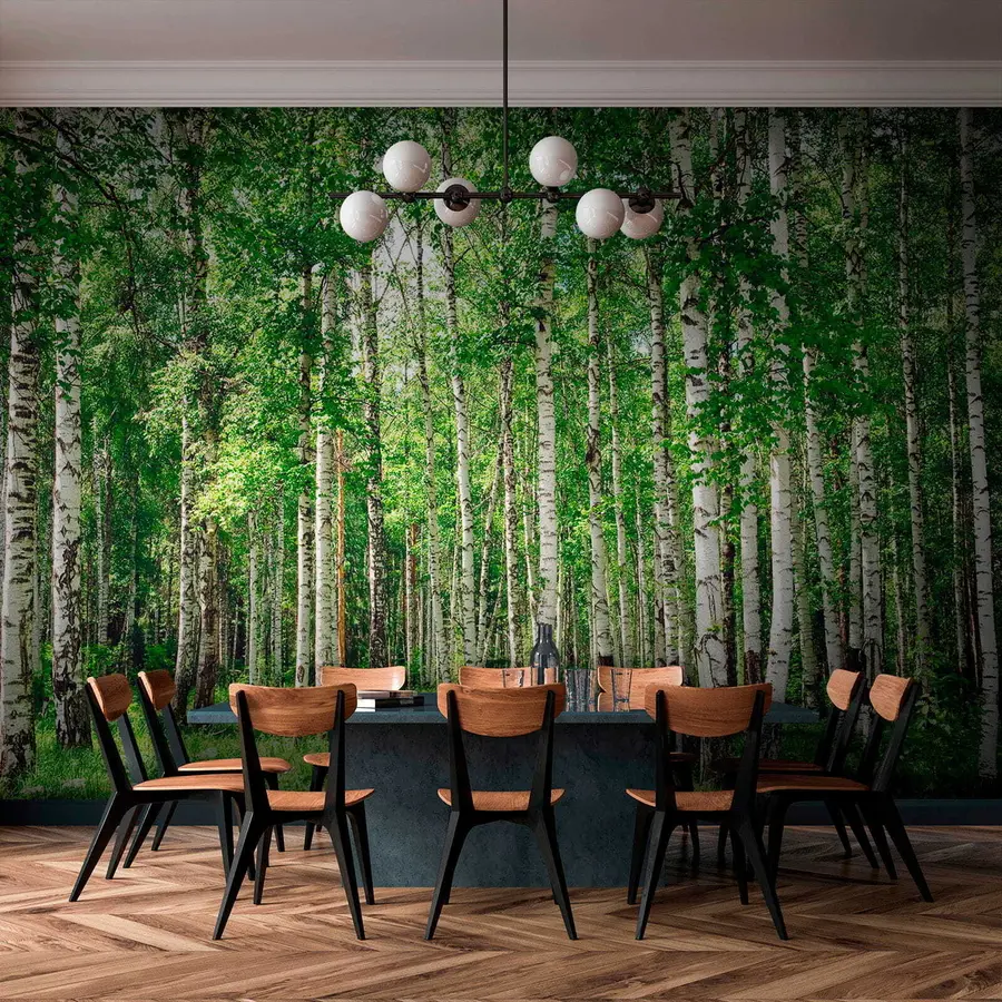wall murals Брезова шума u52530