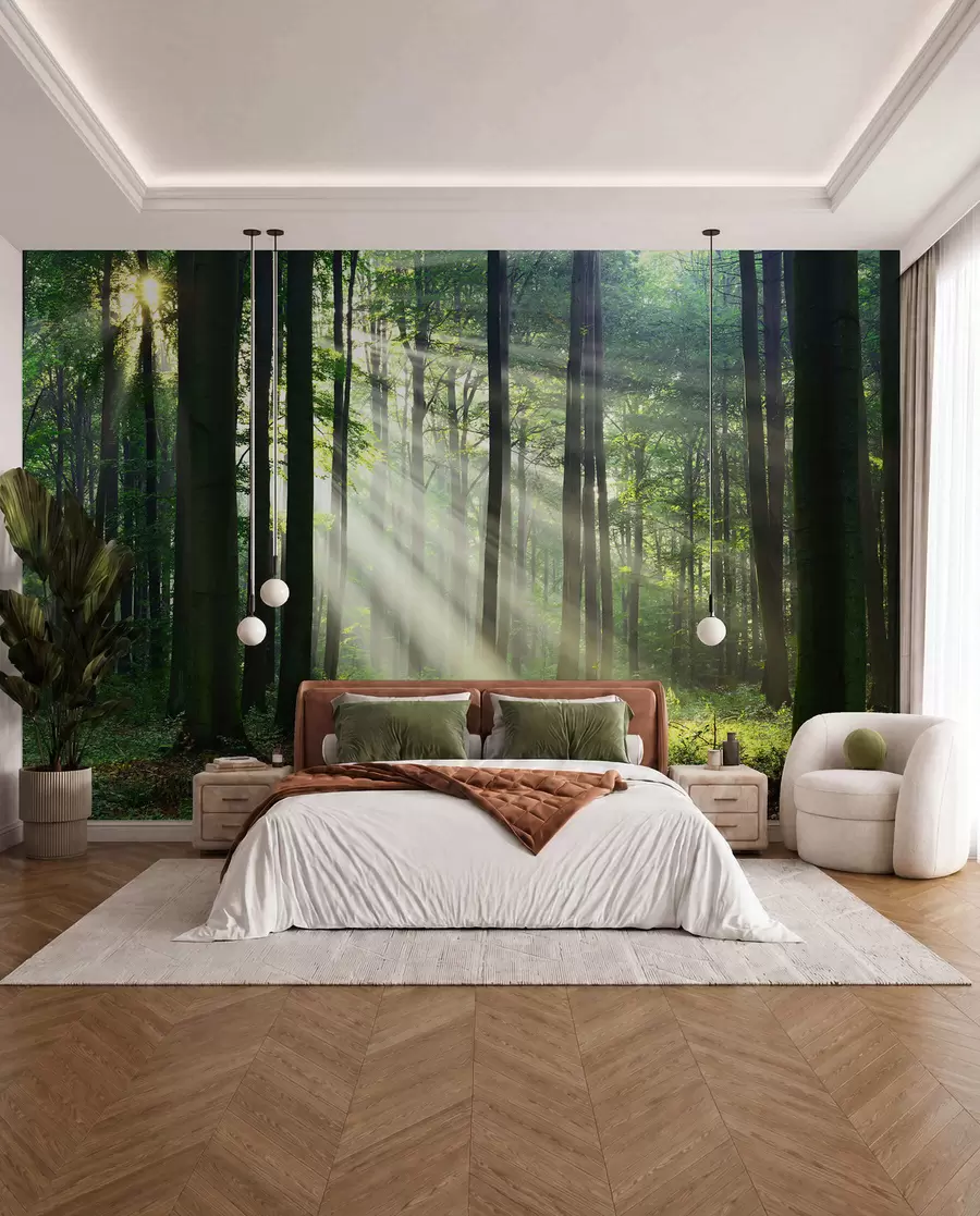 wall murals Sunce među drvećem u56787