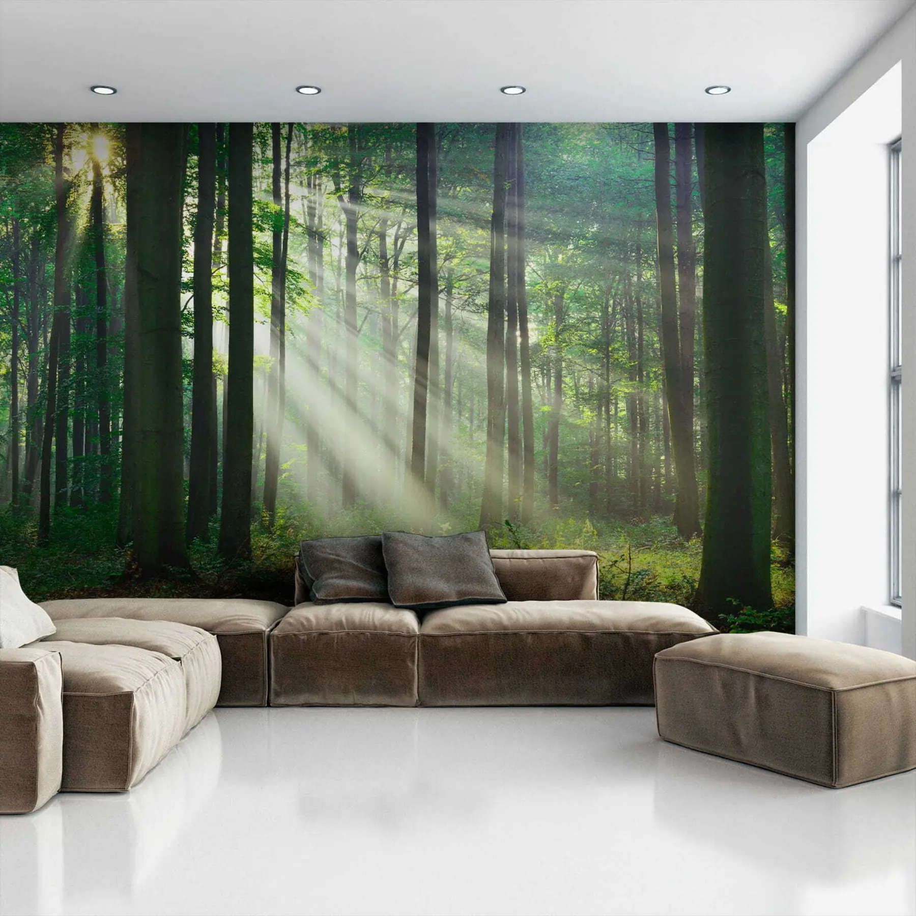 wall murals Биљка, зелена и екорегија u56787