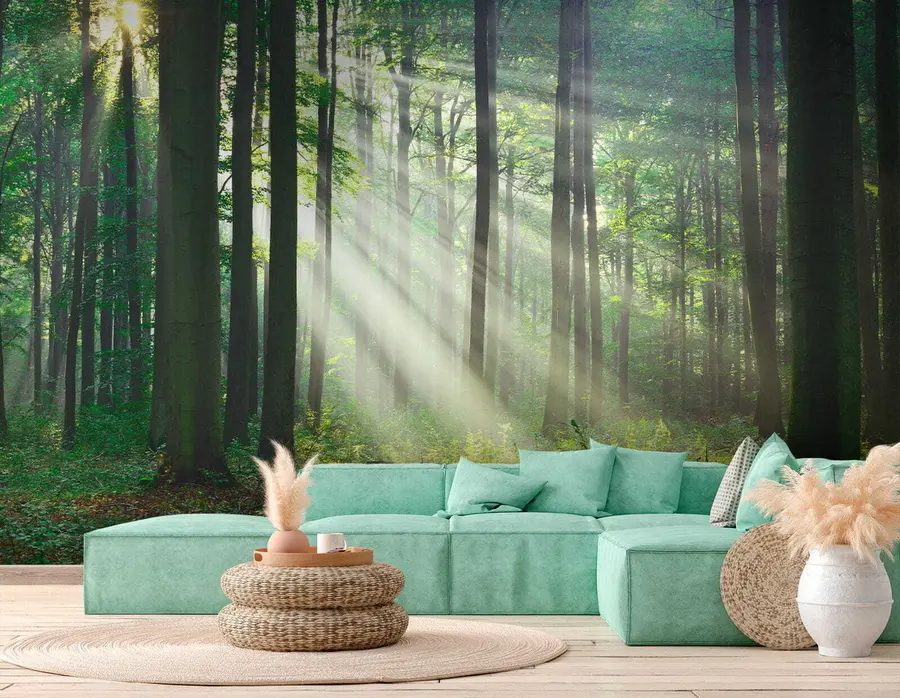 wall murals Биљка, зелена и екорегија u56787