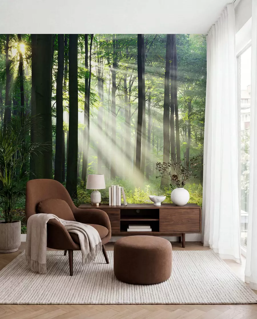 wall murals Биљка, зелена и екорегија u56787