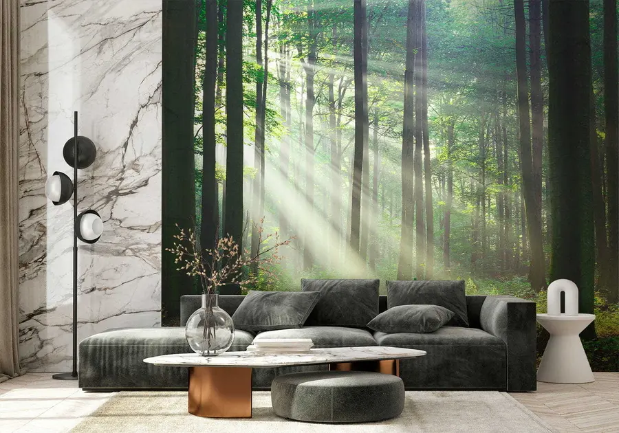 wall murals Биљка, зелена и екорегија u56787
