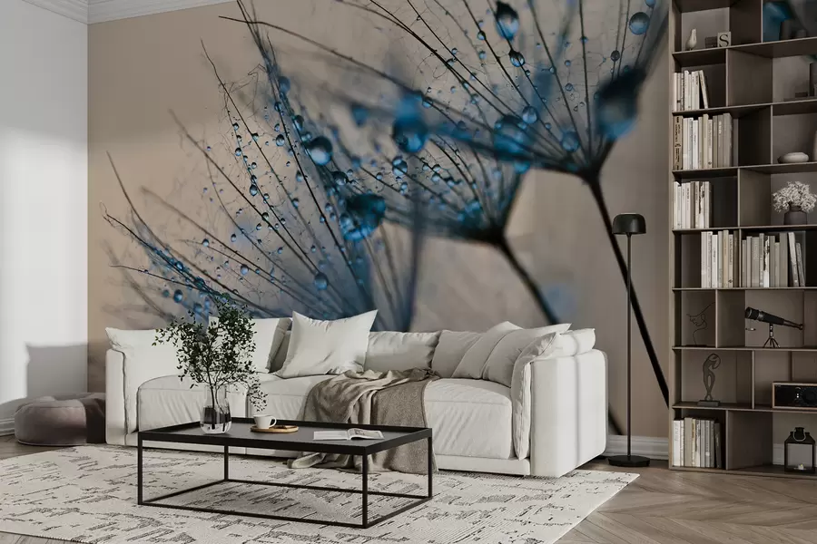 wall murals Маслачак са капи воде u57557