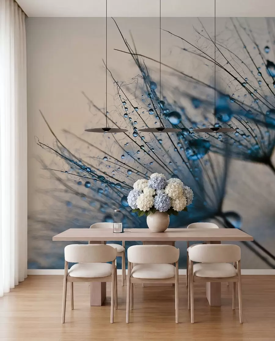 wall murals Маслачак са капи воде u57557
