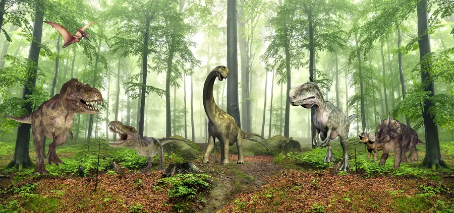 wall murals Диносауруси у шуми u60039