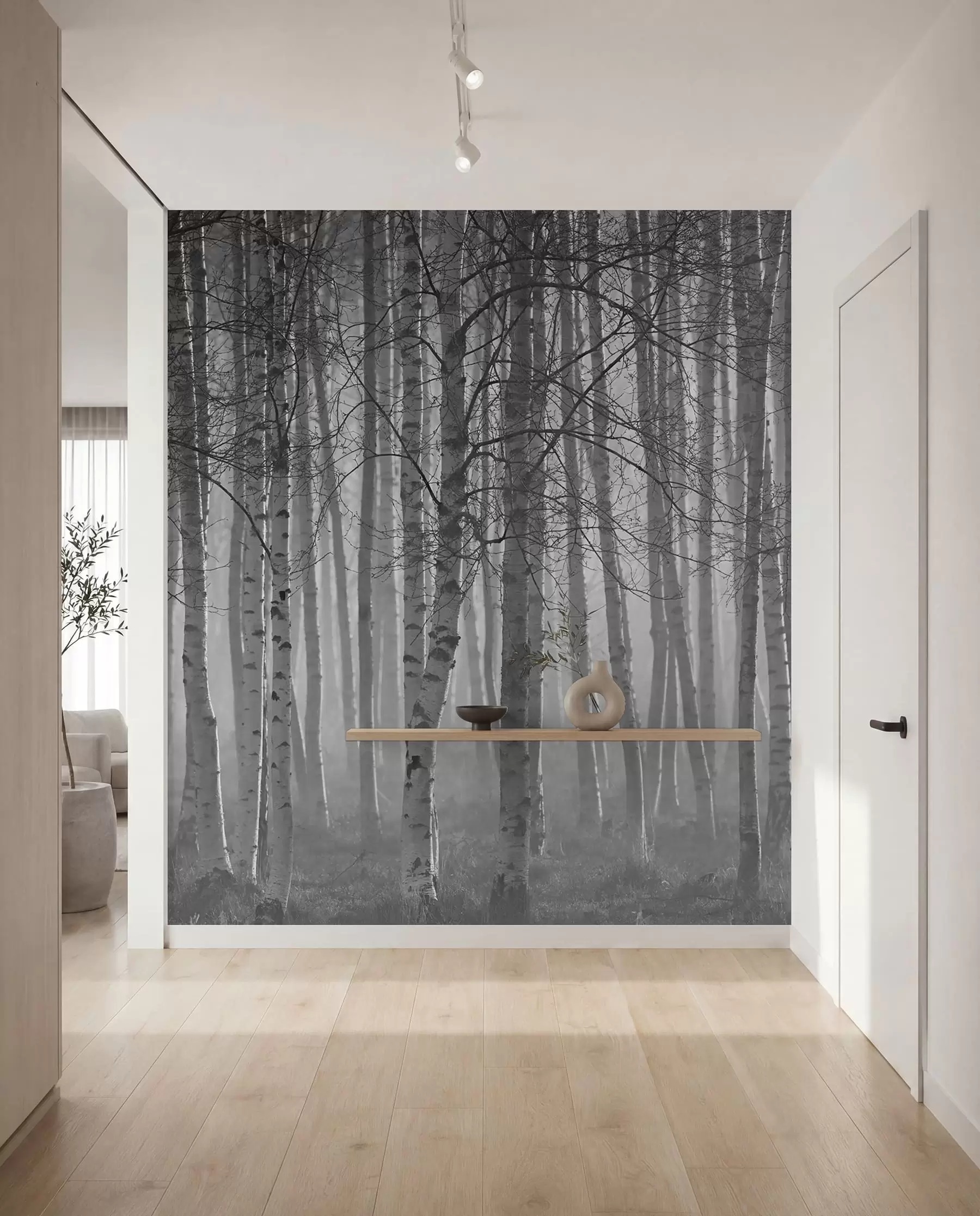 wall murals Јутарња магла у шуми брезе u58971