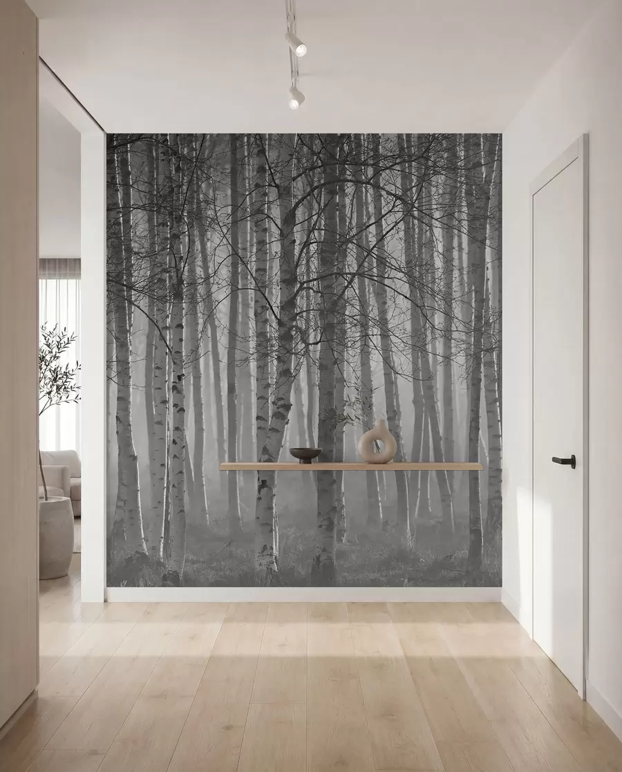 wall murals Јутарња магла у шуми брезе u58971