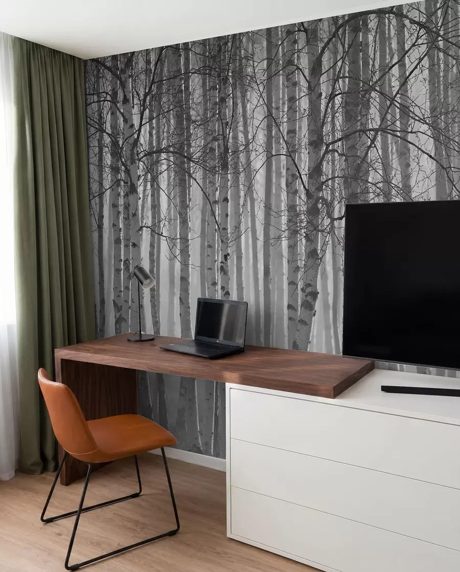 wall murals Јутарња магла у шуми брезе u58971