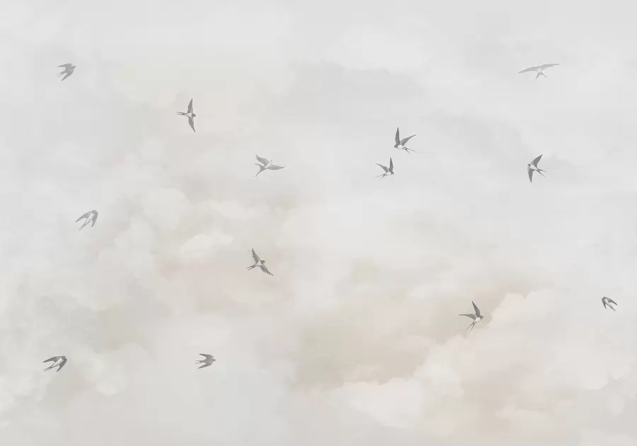 wall murals Небо са ластама w00526v2