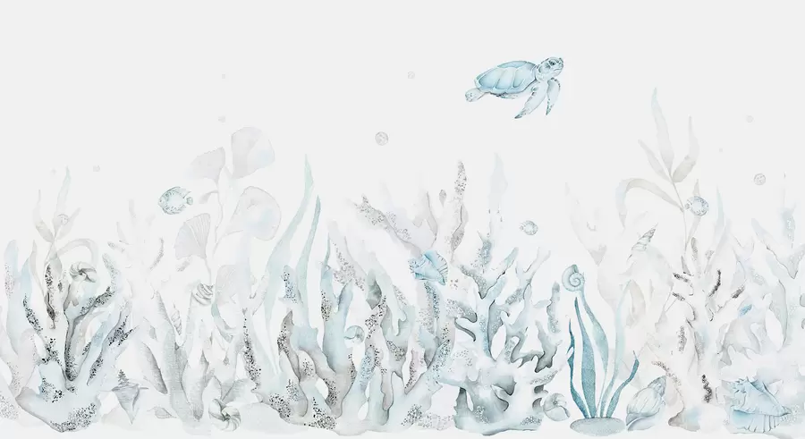 wall murals Акварел морски корали, шкољке, корњача, морски живот, нежне плаве боје w00849