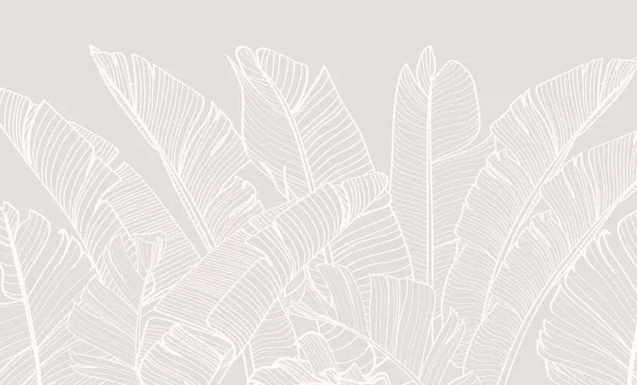 wall murals Тропска банана оставља минимализам нови тренд w08210