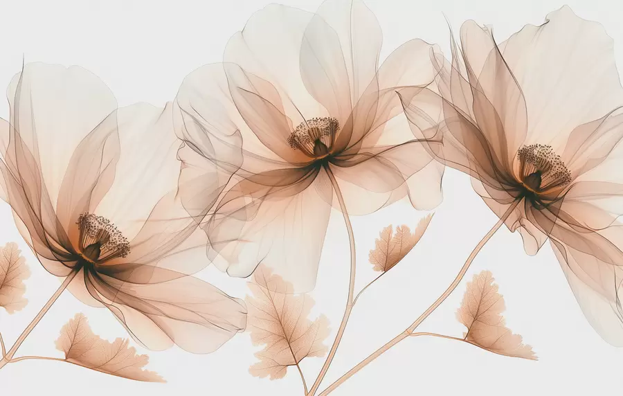 wall murals Деликатни провидни цвет у рендгенском стилу на белој позадини Минималистички једнобојни ботанички дизајн w01482