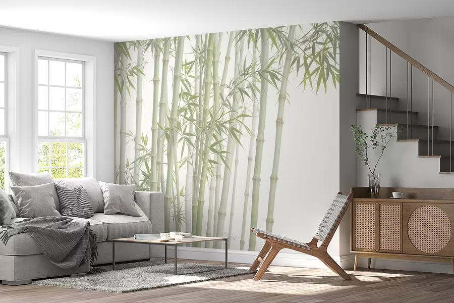 wall murals Густа бамбусова шума са високим бамбусовим стабљикама и зеленим лишћем на мекој, магловитој позадини w08237