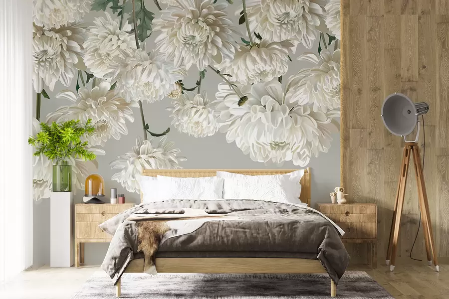 wall murals Цвеће беле хризантеме са зеленим листовима на светло сивој позадини w08251