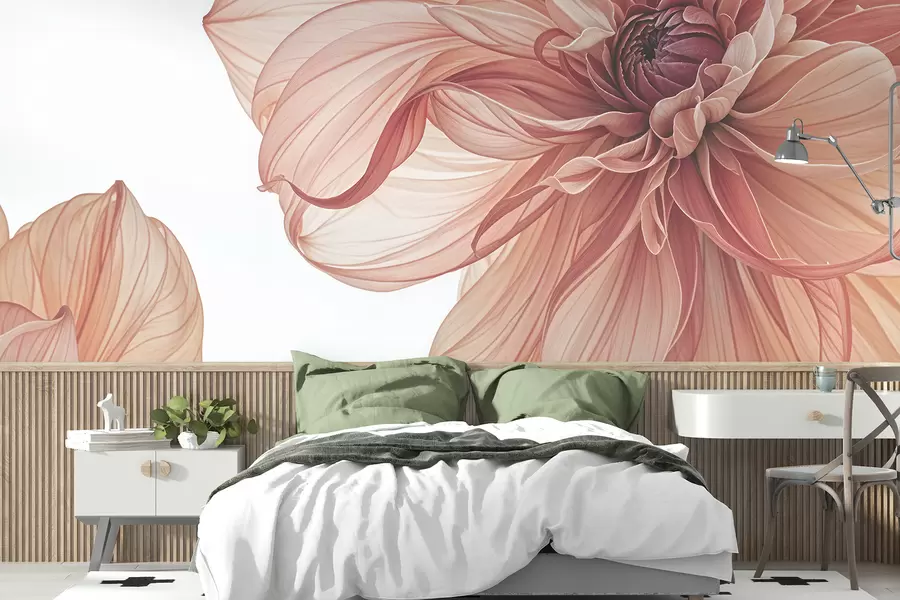 wall murals Поглед изблиза на неколико великих, живописних црвених цветова далије са меким, деликатним латицама на белој позадини w08257