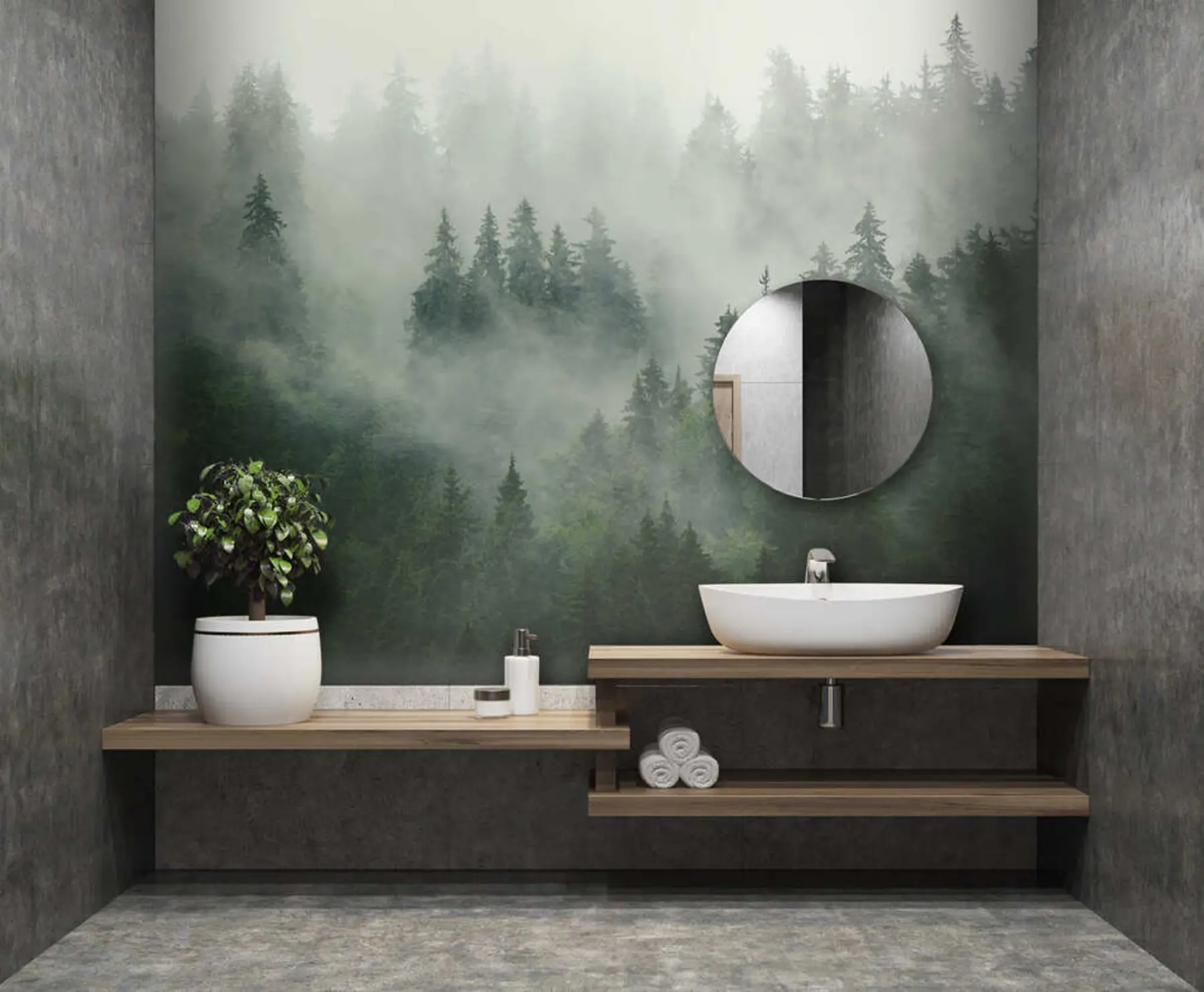 wall murals Магловито јутро, шума u36439