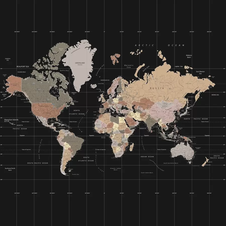 wall murals Мапа света са истакнутим различитим земљама u99477d1