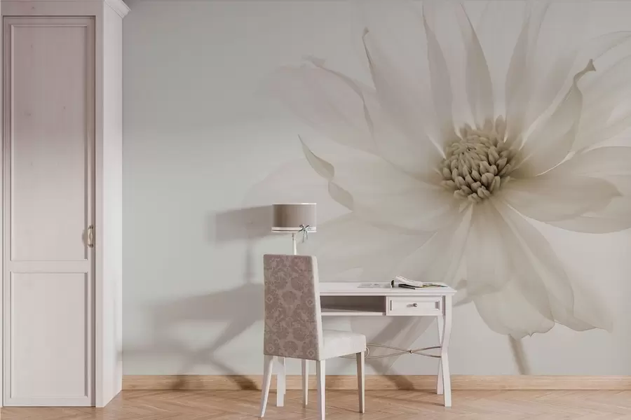 wall murals Деликатни беж цвет на светлој позадини w02077v1