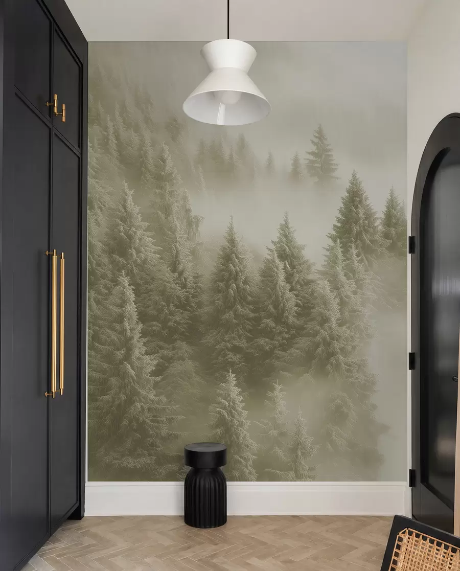 wall murals Густа магла обавија снежну јутарњу шуму у меким зеленим нијансама w02064v2