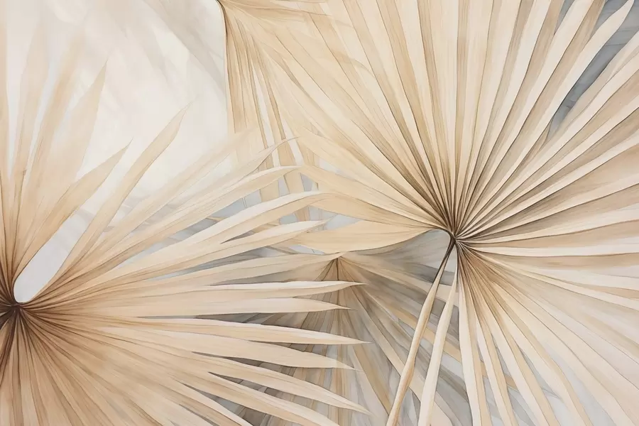 wall murals Суво палмино лишће w02431