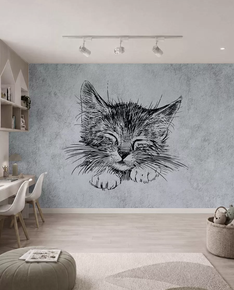 wall murals Мачка, фелидае и месождер u43536