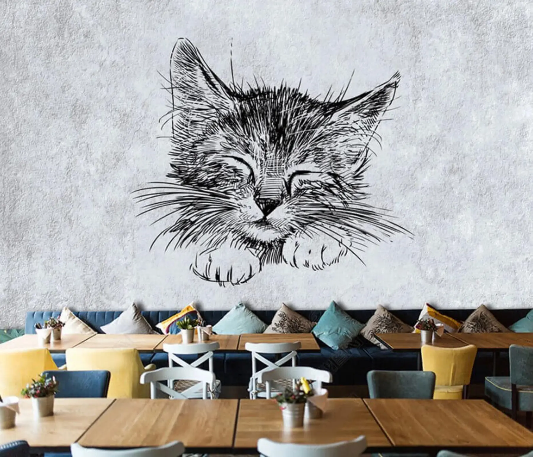 wall murals Мачка, фелидае и месождер u43536