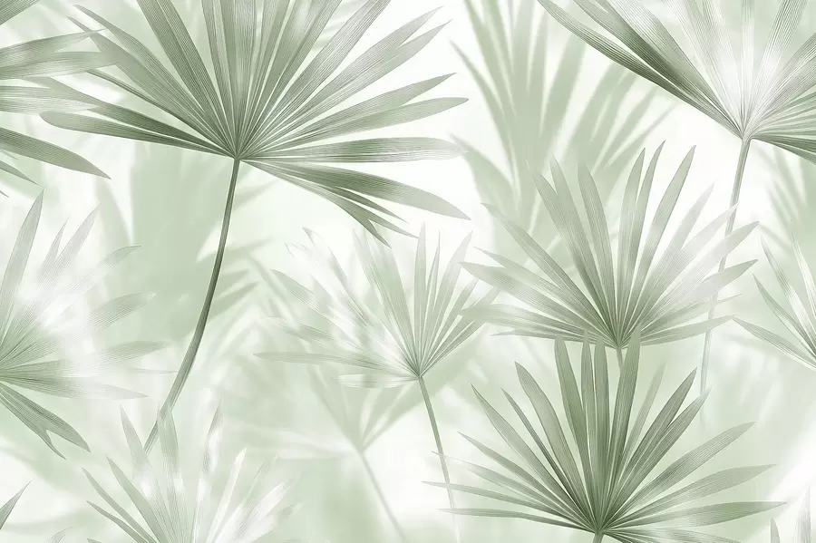 wall murals Палмино лишће, цветни узорак, минимализам, тропске, зелене боје w03152v2