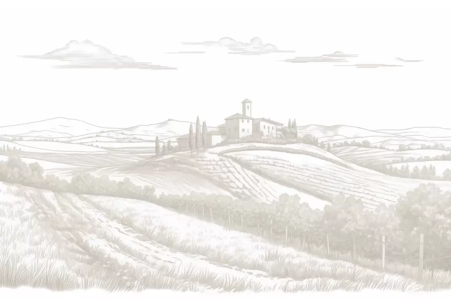 wall murals Тоскански пејзажи, Италија, виногради, природа, стари замак, беж боје w03349