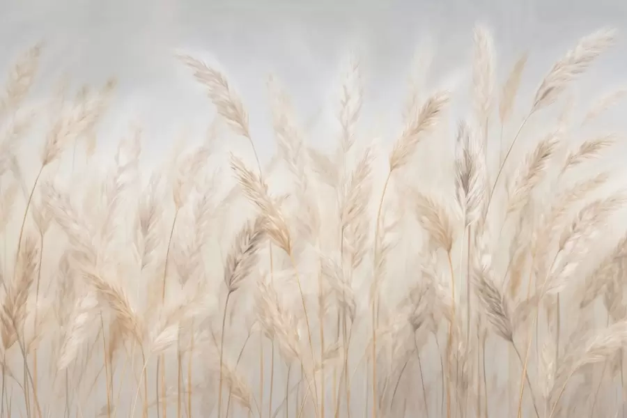 wall murals Класићи наспрам плавог неба w03530