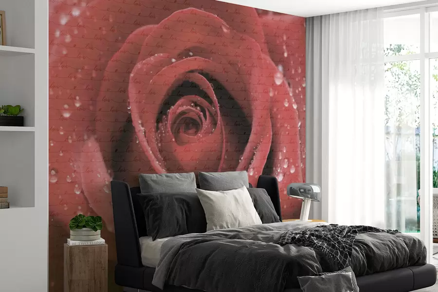 wall murals Ружа и натпис Љубав w03495