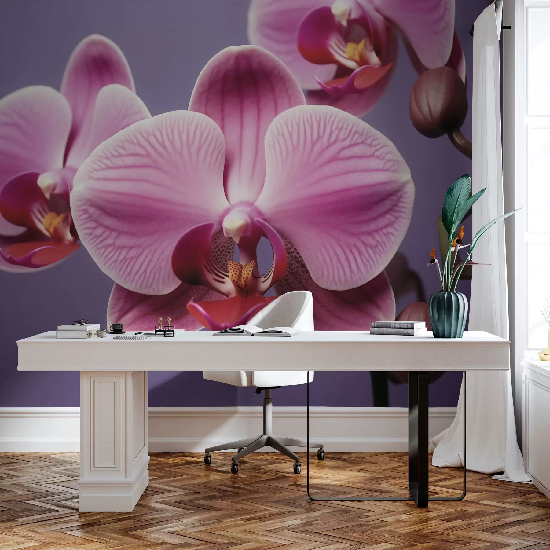 wall murals Прелеп цвет орхидеје w03498